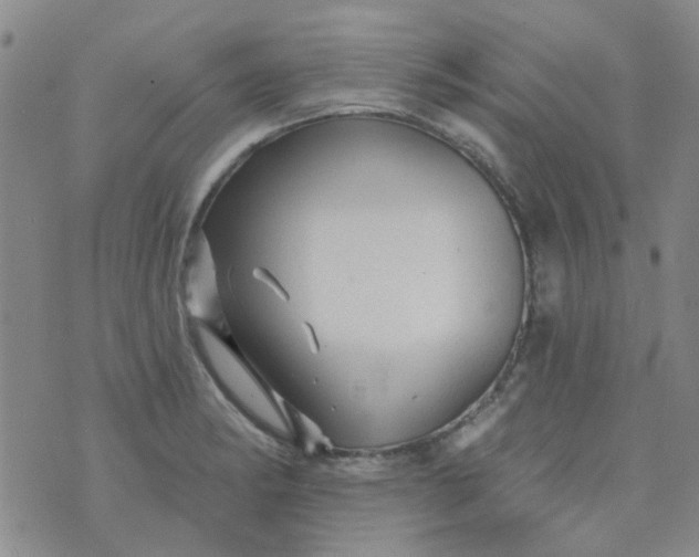 X0000070421182200606231845