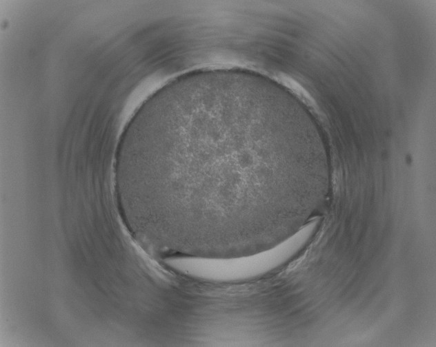 X0000070421183200606231845