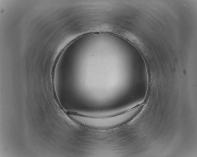 X0000070421184200606231845