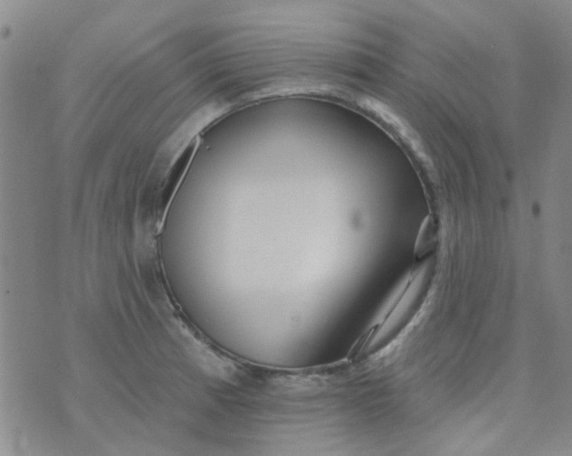 X0000070421185200606231845