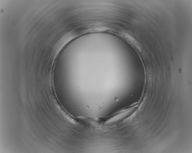 X0000070421186200606231845