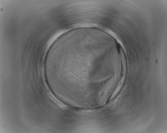 X0000070421187200606231845