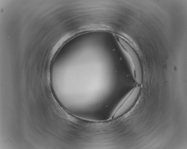 X0000070421188200606231845