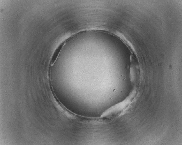 X0000070421189200606231845