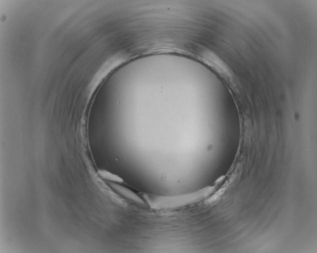 X0000070421190200606231845