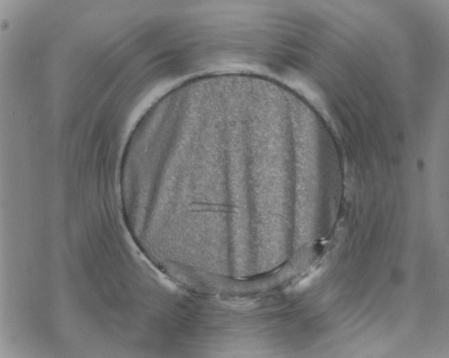 X0000070421191200606231845