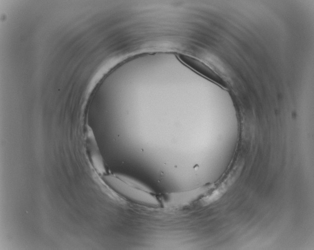 X0000070421192200606231845