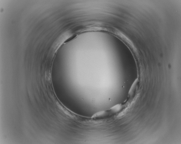 X0000070421193200606231845