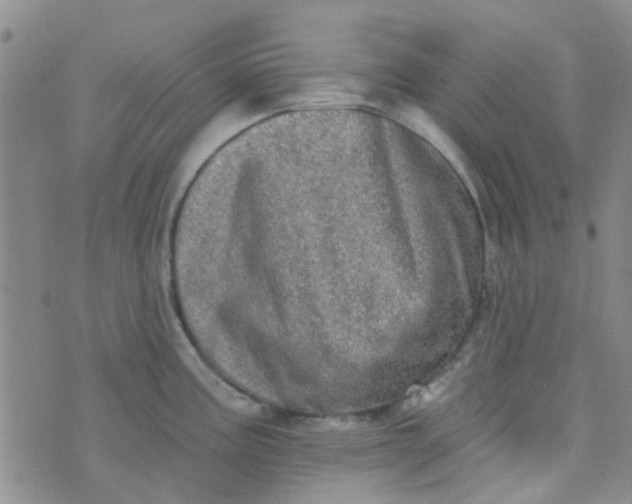 X0000070421195200606231845