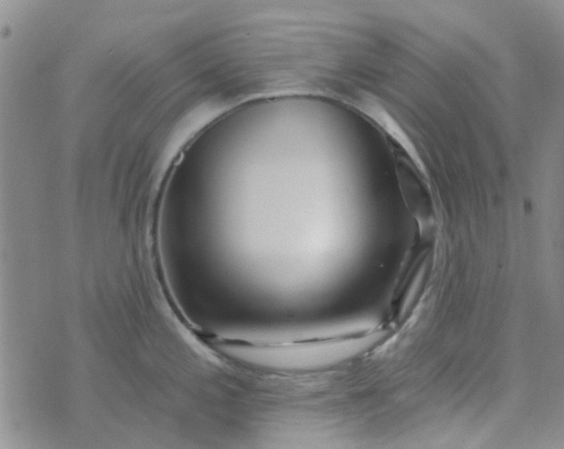 X0000070421197200606231845