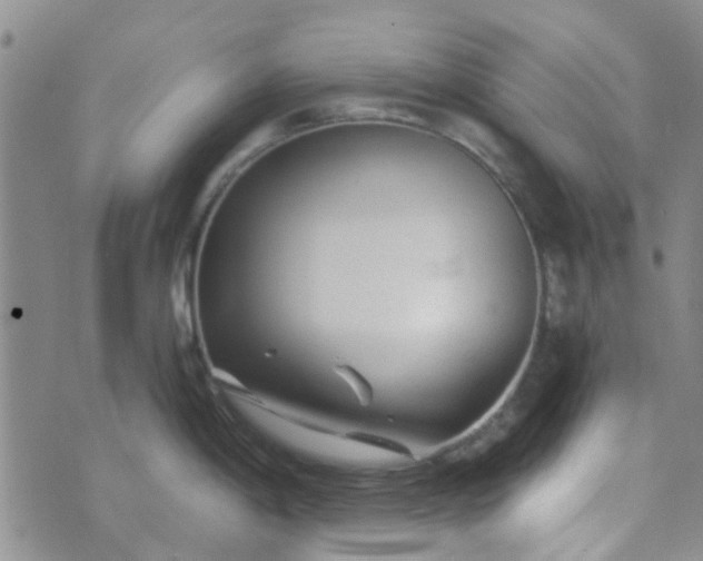 X0000070421198200606231845