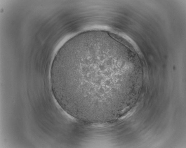 X0000070421199200606231845