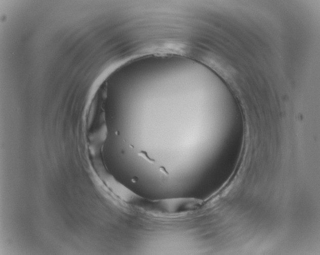 X0000070421200200606231845