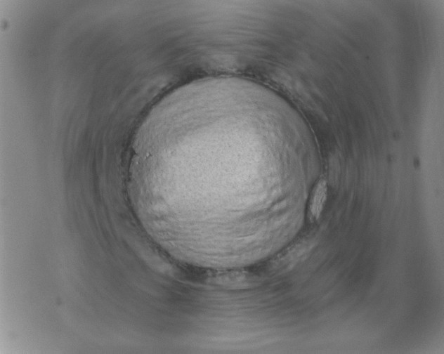 X0000070421201200606231844