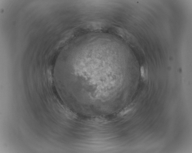 X0000070421203200606231844