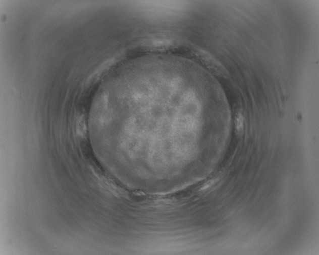 X0000070421204200606231844