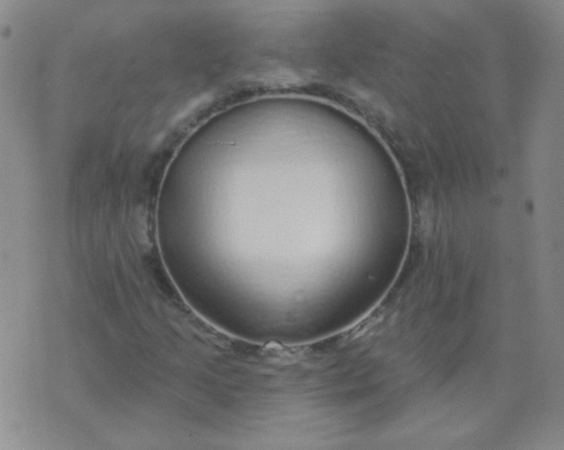 X0000070421205200606231844