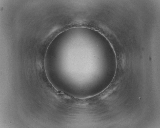 X0000070421206200606231844