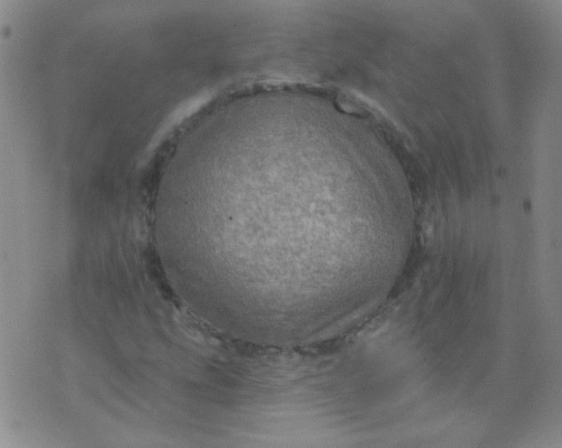 X0000070421207200606231844