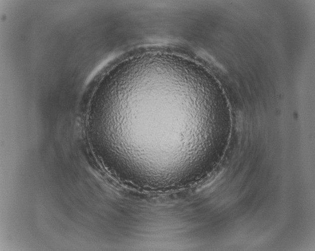 X0000070421208200606231844