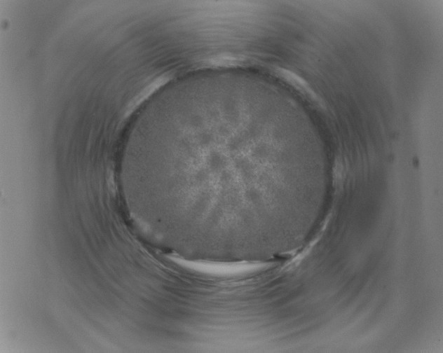 X0000070421209200606231844