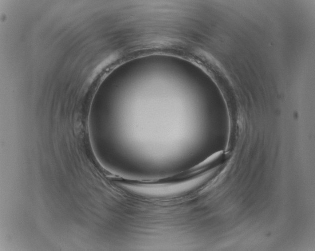 X0000070421210200606231844