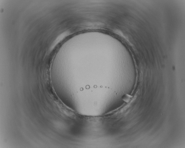 X0000070421211200606231844