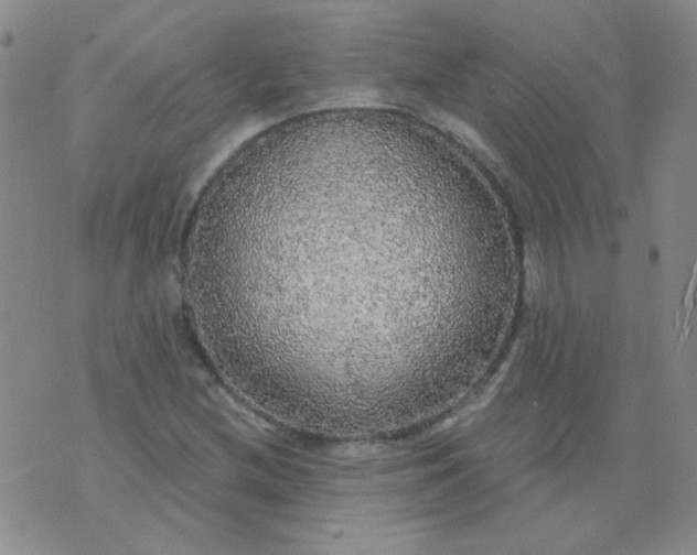 X0000070421212200606231844