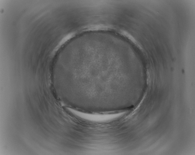 X0000070421213200606231844