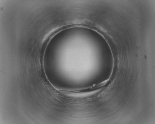 X0000070421214200606231844