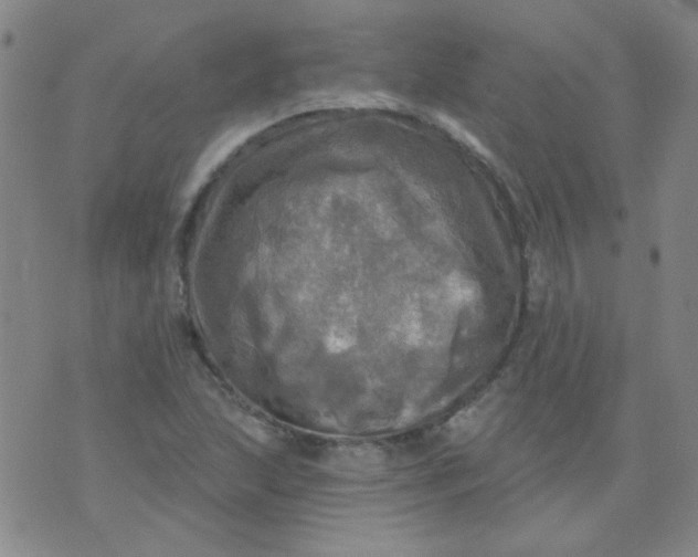 X0000070421215200606231844