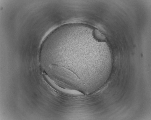 X0000070421216200606231844