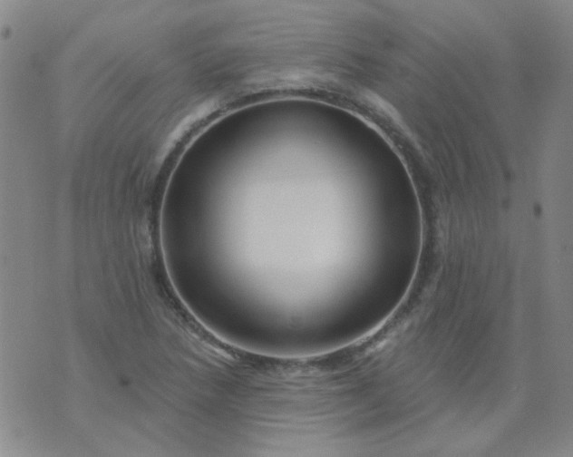 X0000070421218200606231845