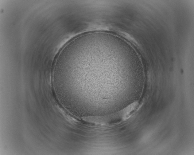 X0000070421220200606231845