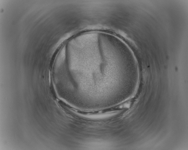 X0000070421221200606231845