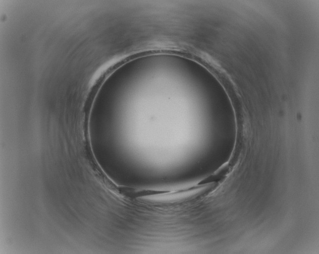 X0000070421222200606231845