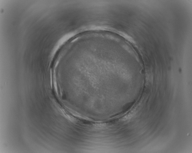 X0000070421223200606231845