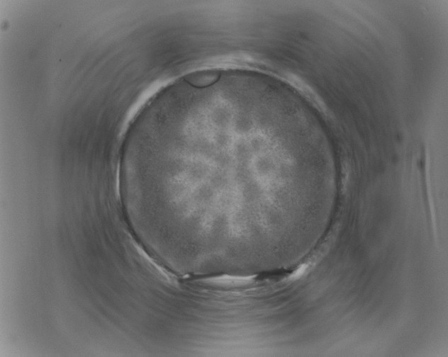 X0000070421224200606231845