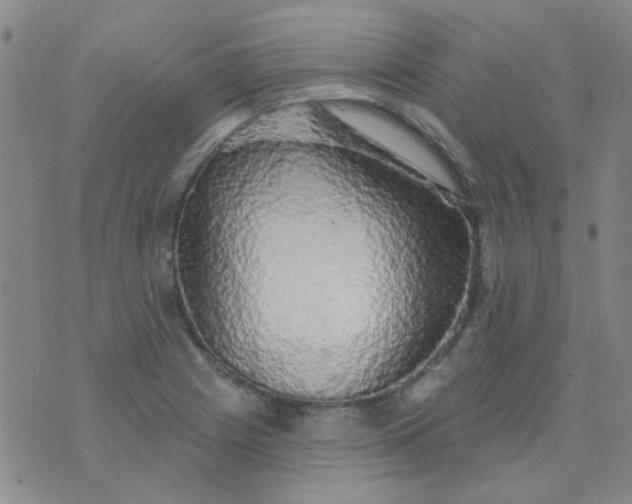 X0000070421225200606231845