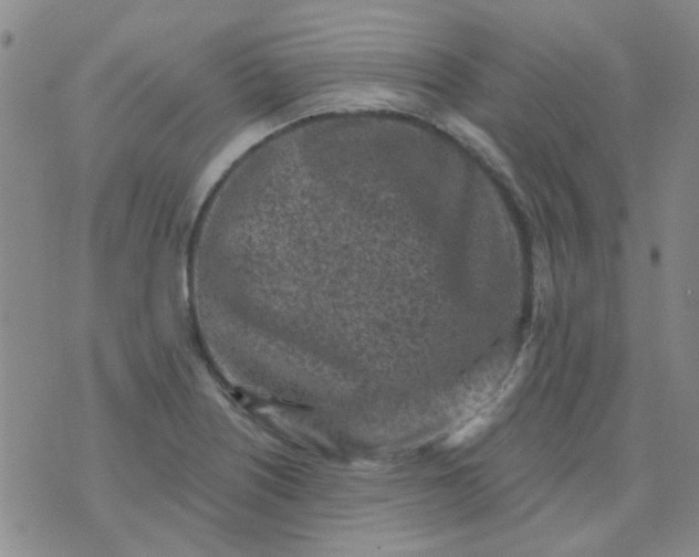 X0000070421226200606231845