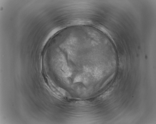 X0000070421227200606231845