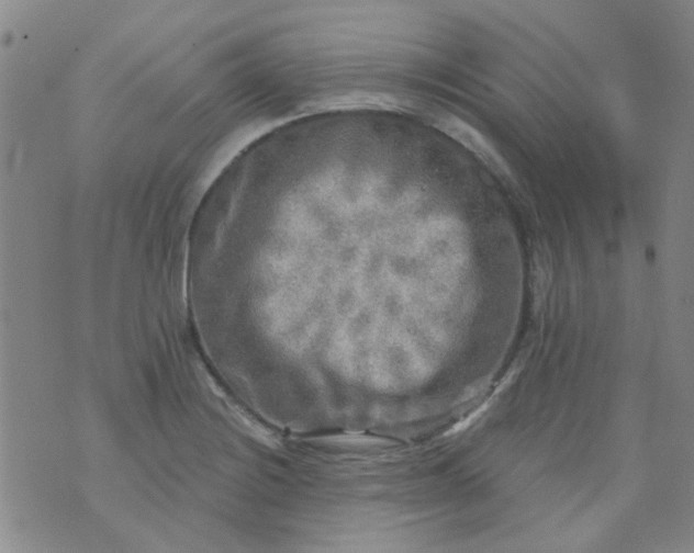 X0000070421228200606231845