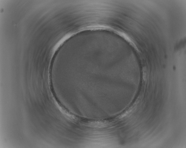 X0000070421229200606231845