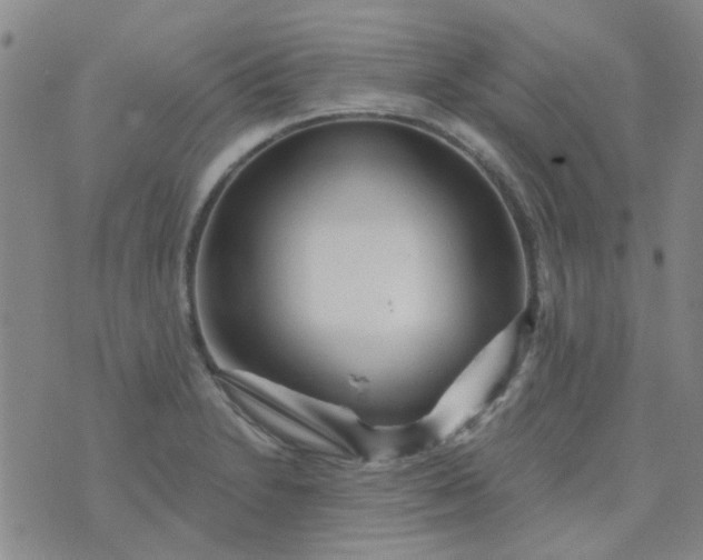 X0000070421230200606231845