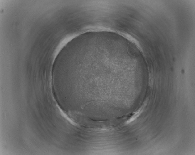 X0000070421231200606231845