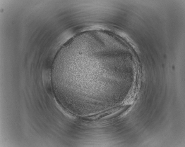 X0000070421233200606231845