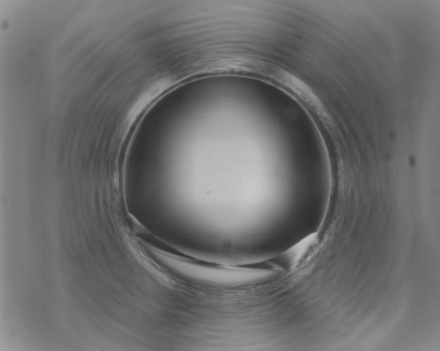 X0000070421234200606231845