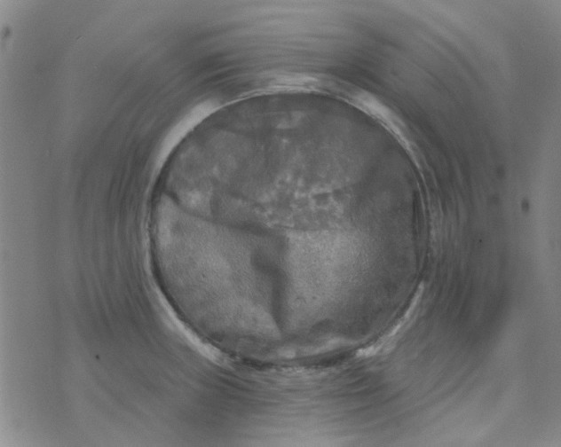 X0000070421235200606231845