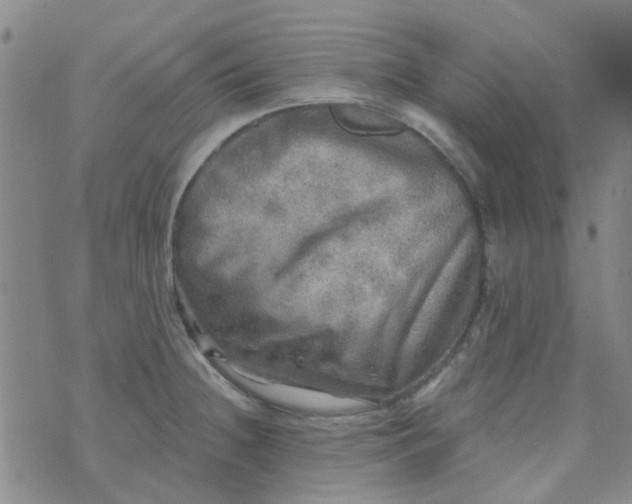 X0000070421236200606231845