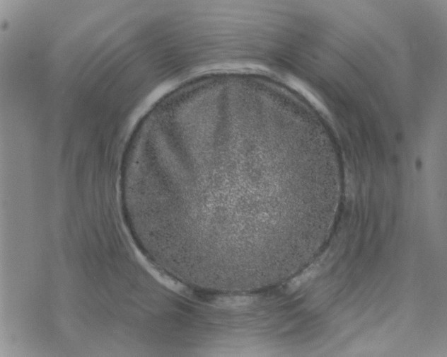 X0000070421237200606231845